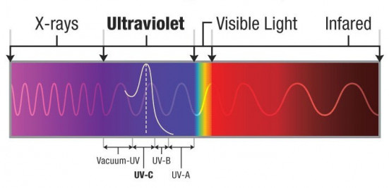 Ultraviolet spectrum